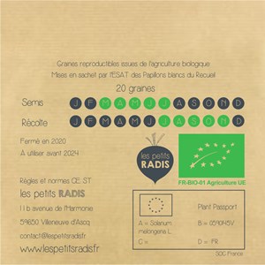 Mini kit de graines bio d'aubergine