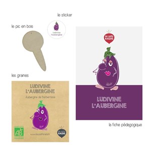 Mini kit de graines bio d'aubergine