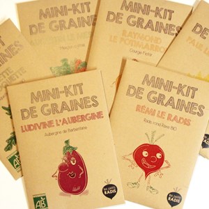 Mini kit de graines bio d'aubergine