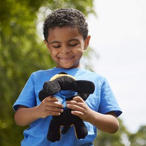 Kit de voyage animal domestique