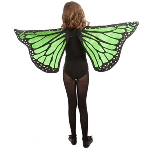 Ailes papillon vert pour enfant