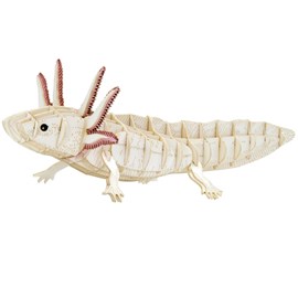 Maquette 3d en papier axolotl