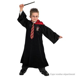 Pack lunettes baguette cravate harry pot