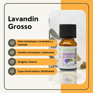 Huile essentielle lavandin grosso - 10ml