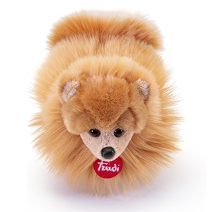 Peluche chien poméranien 22 cm