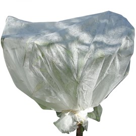 Voile d'hivernage plantes 2mx5m