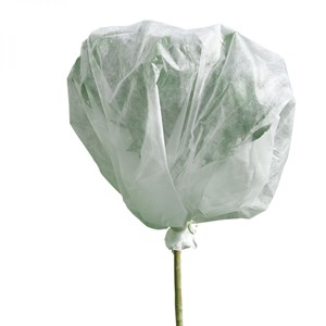 Voile d'hivernage plantes 2mx10m