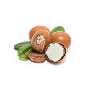 Beurre de karité bio 100 ml