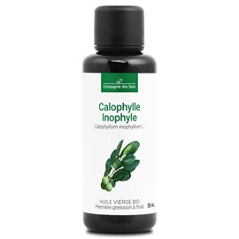 Huile de calophylle inophyle bio - 50ml - fraîcheur garantie oxycert® - vierge &