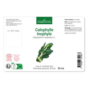 Huile de calophylle inophyle bio - 50ml - fraîcheur garantie oxycert® - vierge &