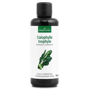 Huile de calophylle inophyle bio - 100ml - fraîcheur garantie oxycert® - vierge