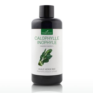 Calophylle inophyle bio - 200ml