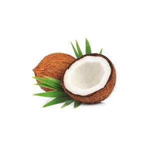 Coco - huile végétale bio 100ml