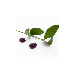 Jojoba bio - 100ml