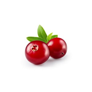 Airelle - macérat de bourgeons bio 30ml 30