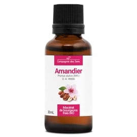 Amandier bio - 30ml (prunus dulcis) – macérat concentré de bourgeons frais