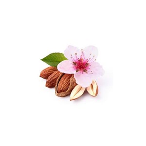 Amandier bio - 30ml 30