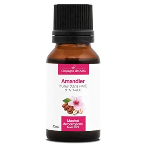 Amandier bio - 15ml (prunus dulcis) – macérat concentré de bourgeons frais 15