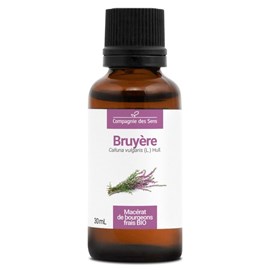 Bruyère bio - 30ml (calluna vulgaris) – macérat concentré de bourgeons frais