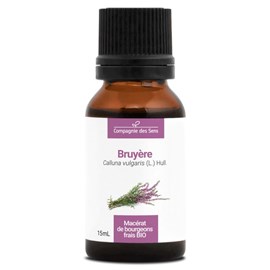 Bruyère - macérat de bourgeons - 15ml