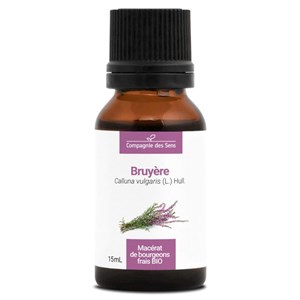 Bruyère - macérat de bourgeons - 15ml 15