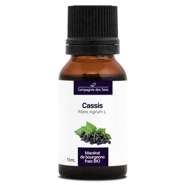Cassis bio - 15ml (ribes nigrum) – macérat concentré de bourgeons frais