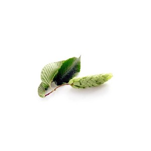 Charme bio - 30ml 30