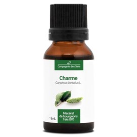Charme bio - 15ml (carpinus betulus) – macérat concentré de bourgeons frais
