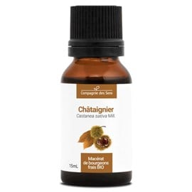 Châtaignier bio - 15ml (castanea sativa) – macérat concentré de bourgeons frais