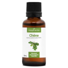 Chêne - macérat de bourgeons - 30ml