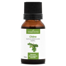 Chêne - macérat de bourgeons - 15ml 
