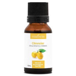 Citronnier bio - 15ml (citrus limon) – macérat concentré de bourgeons frais 15