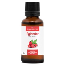 Églantier bio - 30ml (rosa canina) – macérat concentré de bourgeons frais