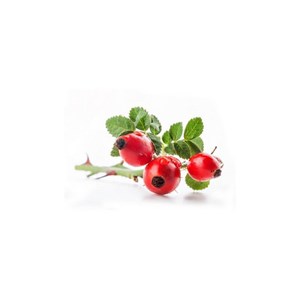 Églantier bio - 15ml 15