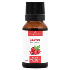 Églantier bio - 15ml (rosa canina) – macérat concentré de bourgeons frais