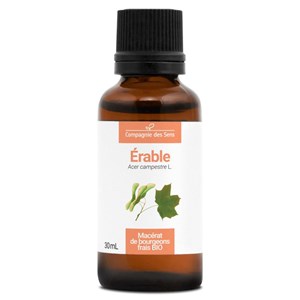 Érable bio - 30ml (acer campestre) – macérat concentré de bourgeons frais 30