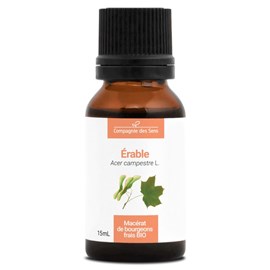 Érable bio - 15ml (acer campestre) – macérat concentré de bourgeons frais