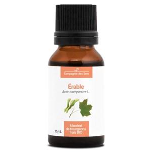Érable bio - 15ml 15
