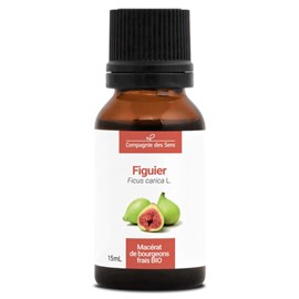 Figuier - macérat de bourgeons - 15ml