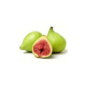 Figuier - macérat de bourgeons - 15ml 15