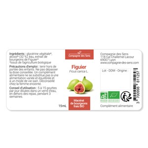 Figuier - macérat de bourgeons - 15ml 15