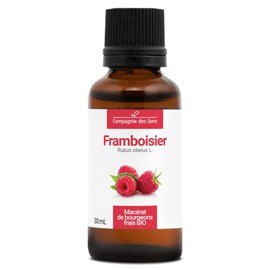 Framboisier bio - 30ml (rubus idaeus) – macérat concentré de bourgeons frais