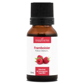 Framboisier bio - 15ml (rubus idaeus) – macérat concentré de bourgeons frais