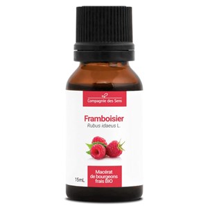 Framboisier bio - 15ml (rubus idaeus) – macérat concentré de bourgeons frais 15