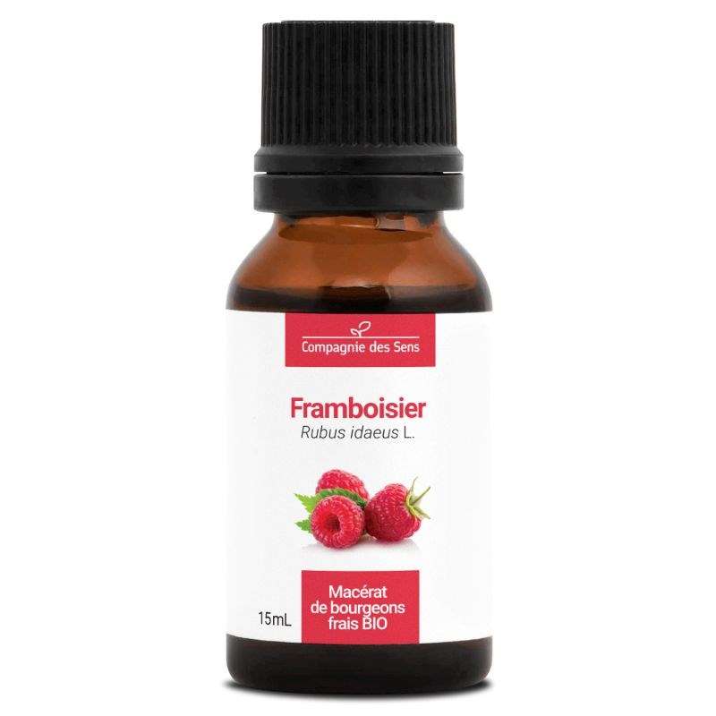Framboisier bio - 15ml (rubus idaeus) – macérat concentré de bourgeons frais