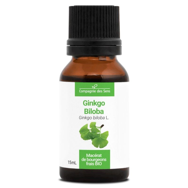 Ginkgo biloba bio - 15ml (ginkgo biloba) – macérat concentré de bourgeons frais