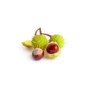 Marronnier bio - 30ml (aesculus hippocastanum) – macérat concentré de bourgeons 30
