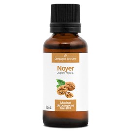 Noyer bio - 30ml (juglans regia) – macérat concentré de bourgeons frais