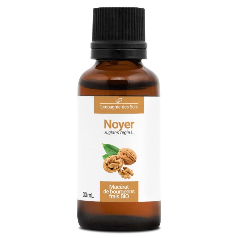 Noyer bio - 30ml (juglans regia) – macérat concentré de bourgeons frais