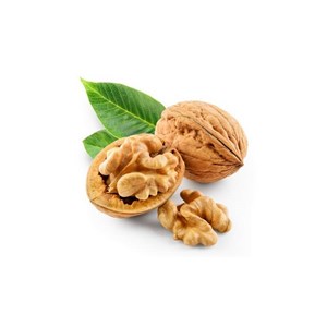 Noyer bio - 30ml (juglans regia) – macérat concentré de bourgeons frais 30